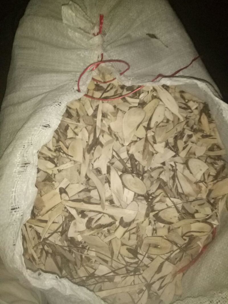 岗梅根一手货源产地直供应商