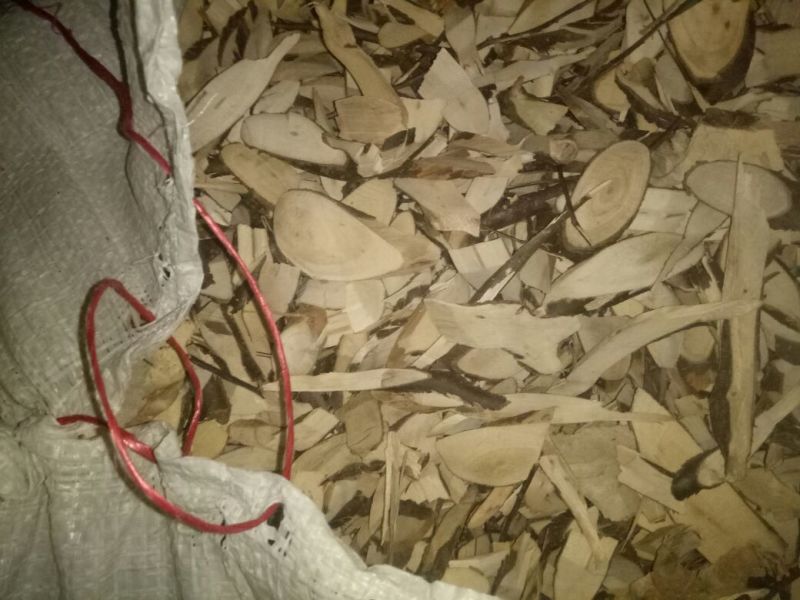 岗梅根一手货源产地直供应商