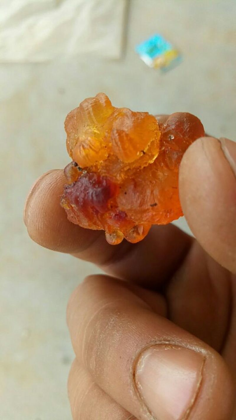 桃胶(原生态颗粒通货大小混装）