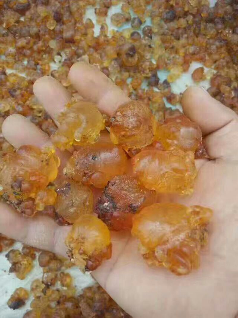 桃胶(原生态颗粒通货大小混装）