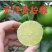 香水柠檬树苗台湾无仔青柠檬