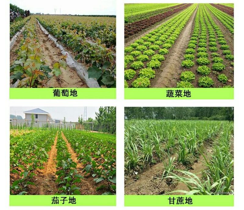 喷枪施肥器百乐福玉米施肥器地上蔬菜溜肥器施肥机地面