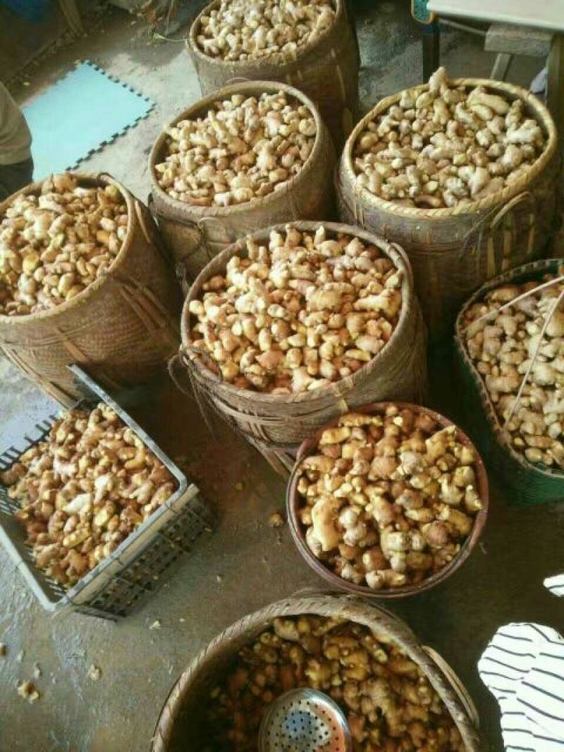 姜茶一级