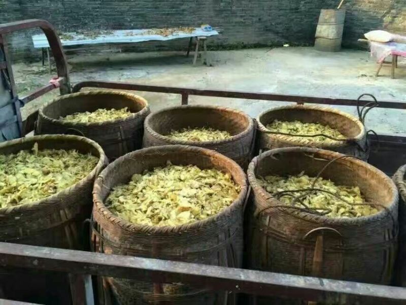 姜茶一级