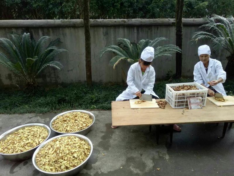 姜茶一级