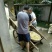 姜茶一级