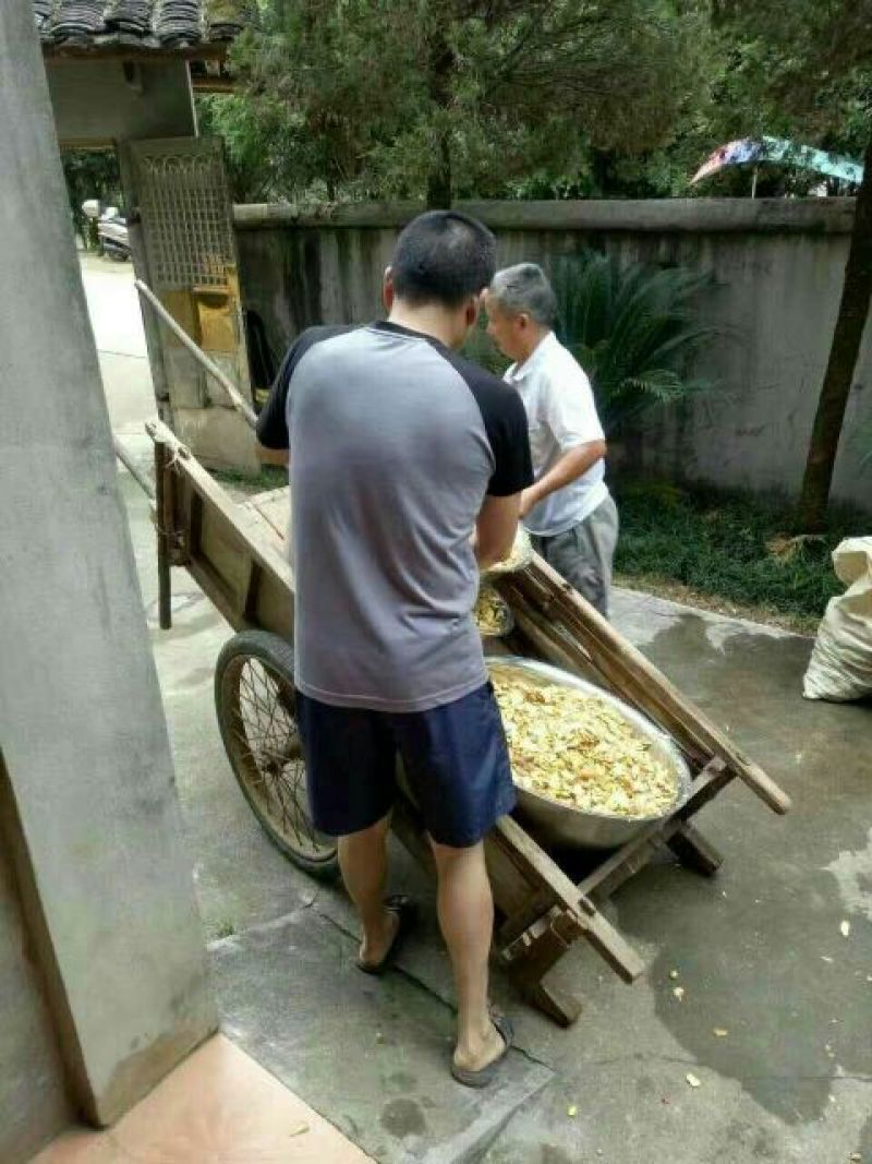 姜茶一级
