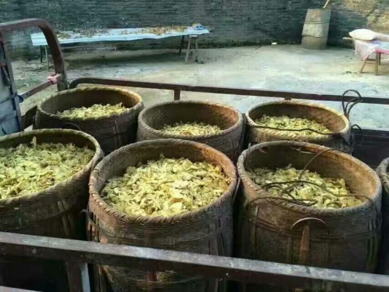 姜茶一级