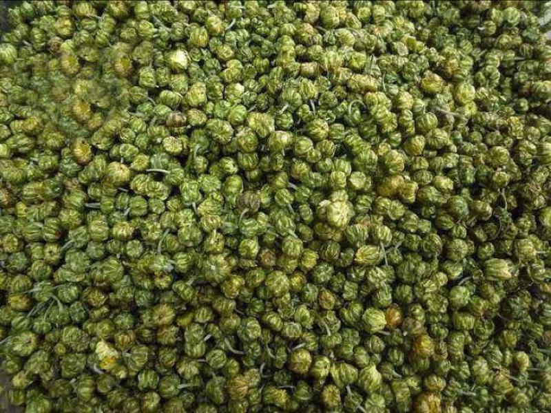 药用菊花散装