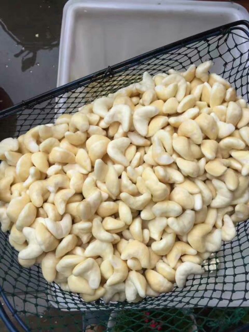 菱角嫩老菱角新鲜菱角米现剥
