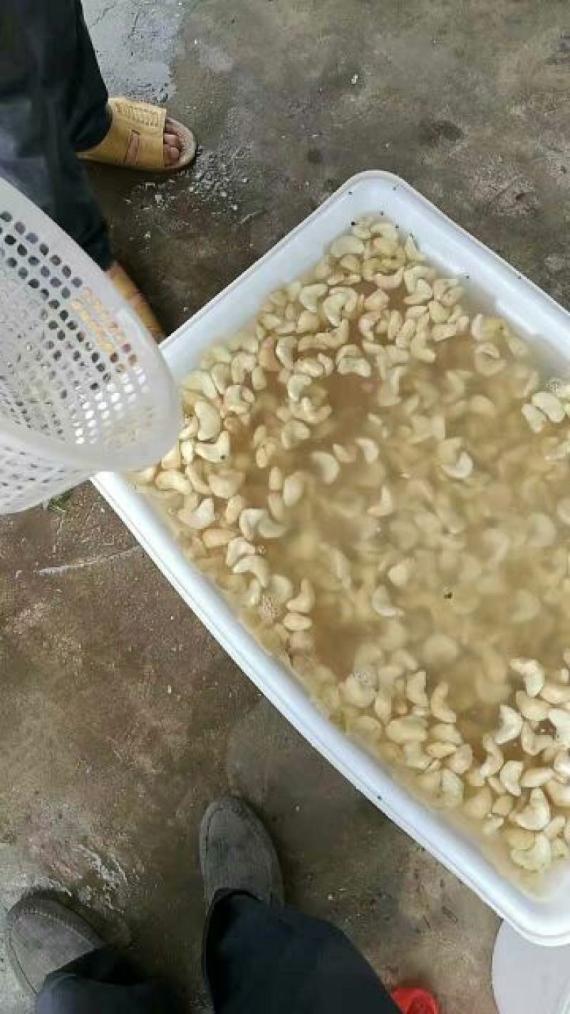 菱角嫩老菱角新鲜菱角米现剥