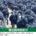 云南彝族黑山羊50斤以上公羊母羊包运输可到付（详询）