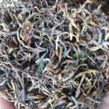 金银花统花
