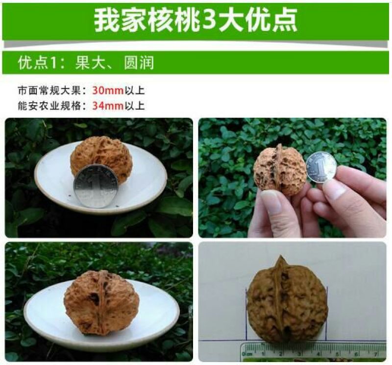云南薄皮核桃去皮30mm以上干货产地直供