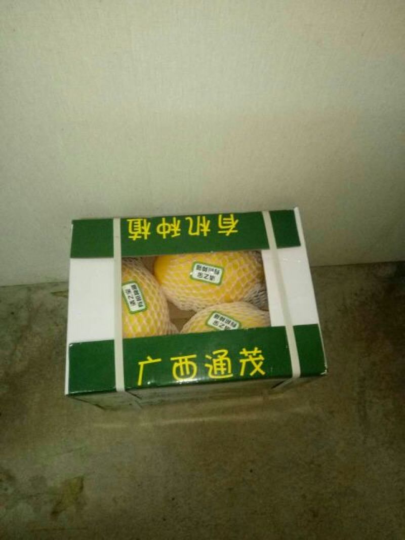 北海1号哈密瓜3斤以上椭圆形