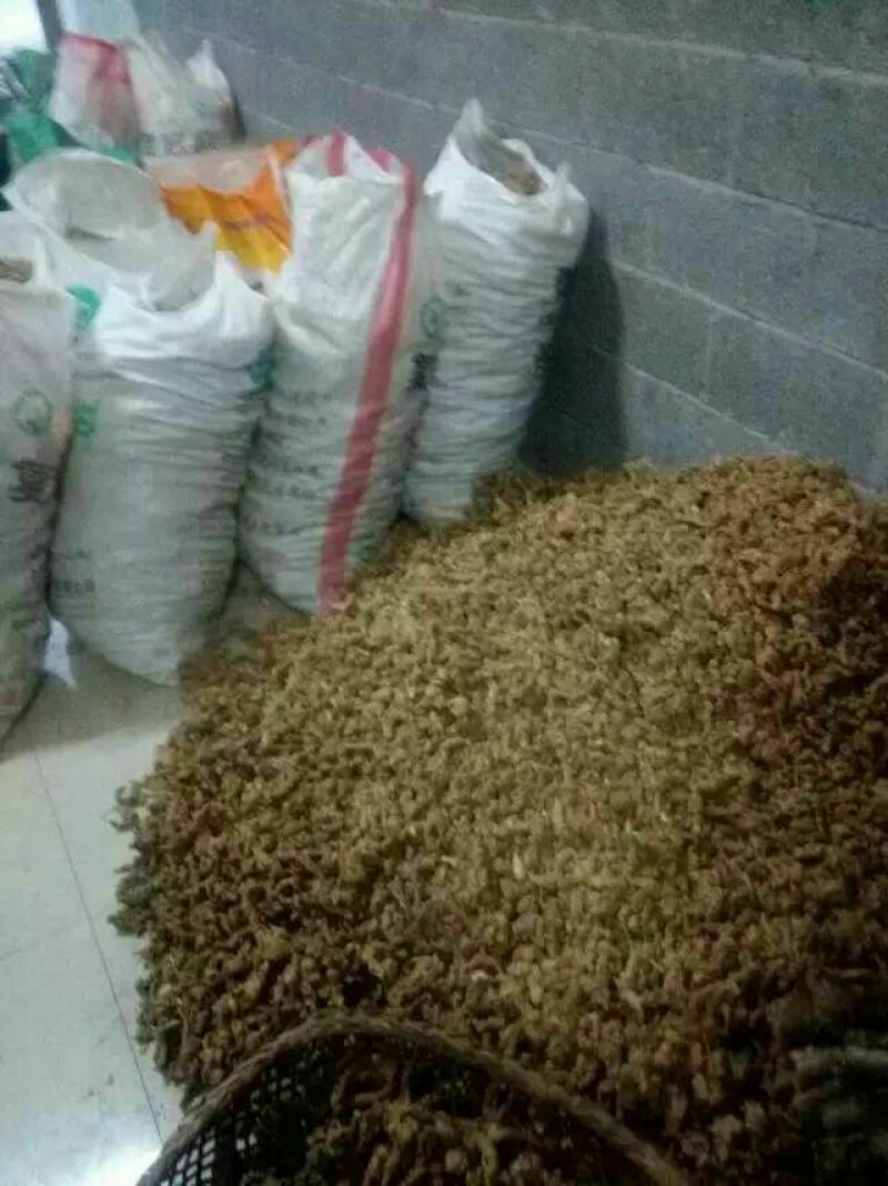 湖北富硒肉质竹节参干品，畅销全国。