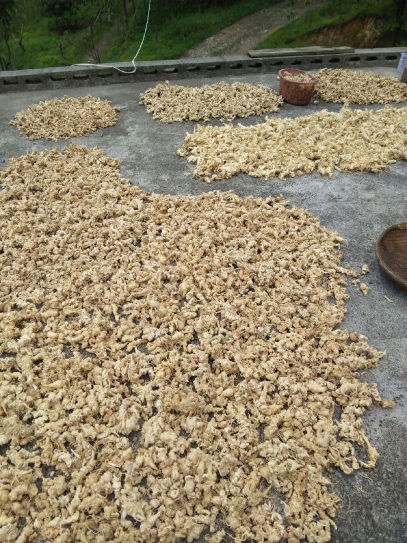 湖北富硒肉质竹节参干品，畅销全国。