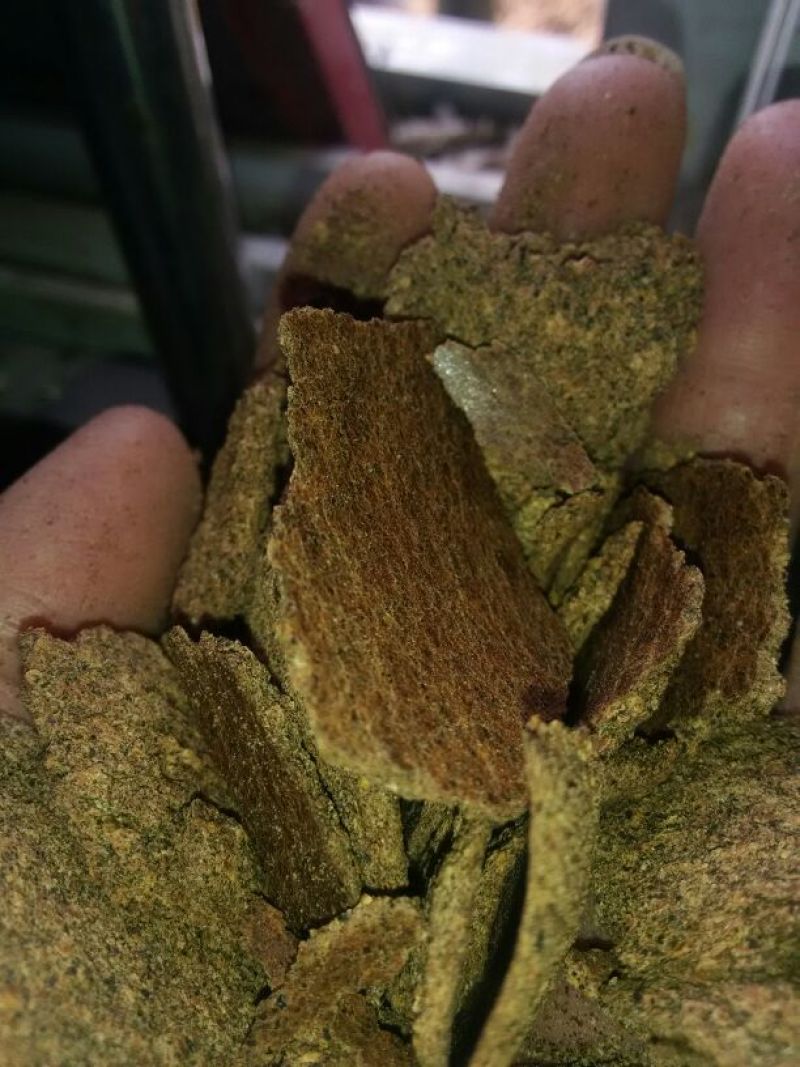 油菜籽菜籽饼品种多，质量好