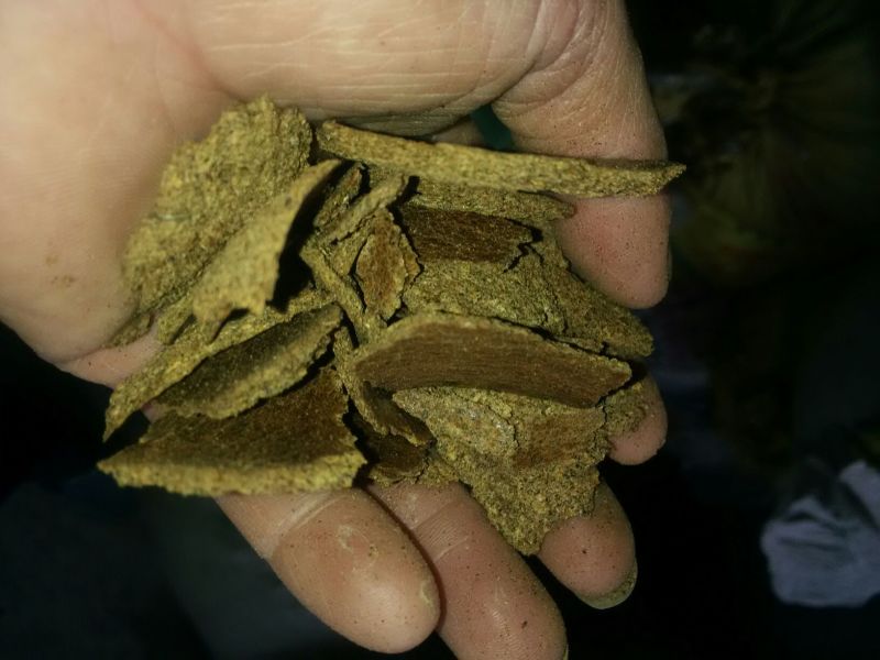 油菜籽菜籽饼品种多，质量好