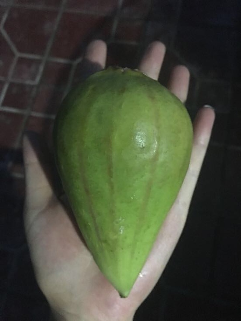 无花果90~120g