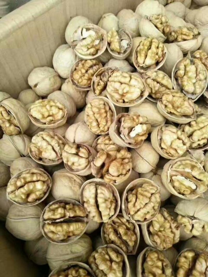 纸皮核桃去皮干