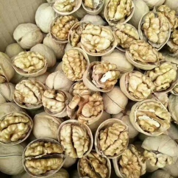 纸皮核桃去皮干