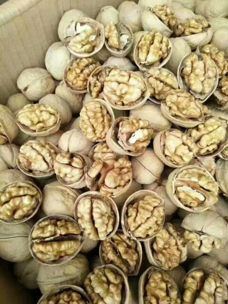 纸皮核桃去皮干