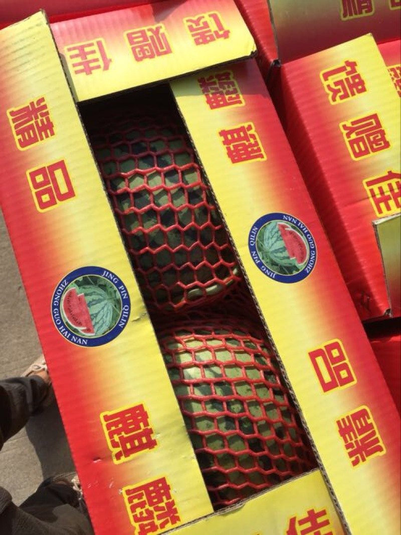 精品麒麟，8424西瓜，久甜二，美都西瓜，大量供货