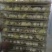 鹅苗250g以上