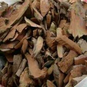 岗稔根广东1公斤起批无硫无添加不包邮只做正品