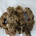 八角莲湖北1公斤起批无硫无添加不包邮正品