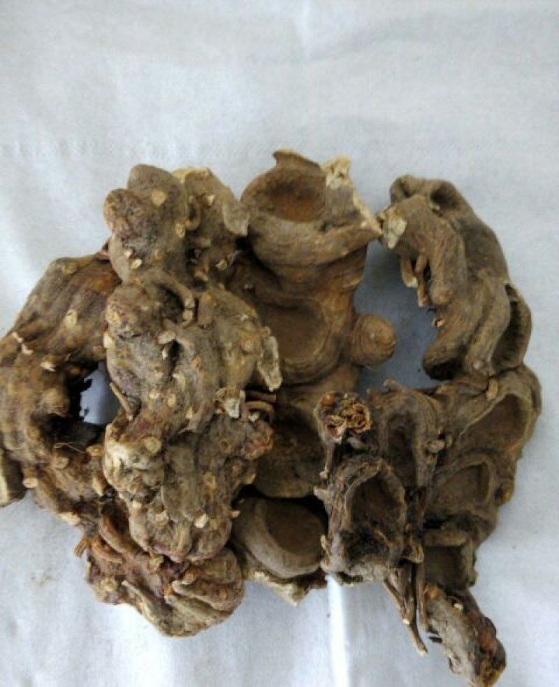 八角莲湖北1公斤起批无硫无添加不包邮正品