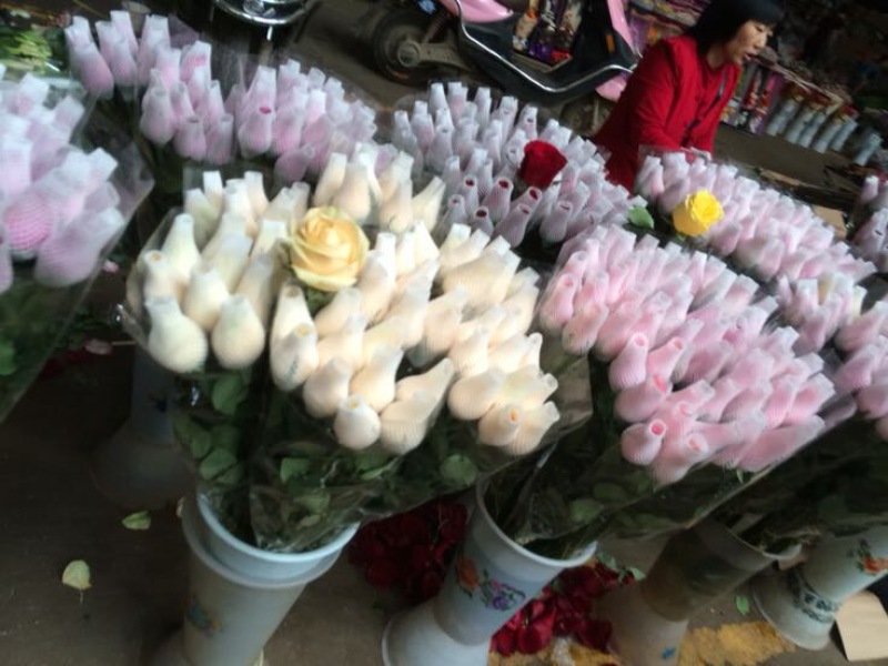 云南昆明斗南鲜花基地直供红玫瑰10朵红玫瑰鲜花速递