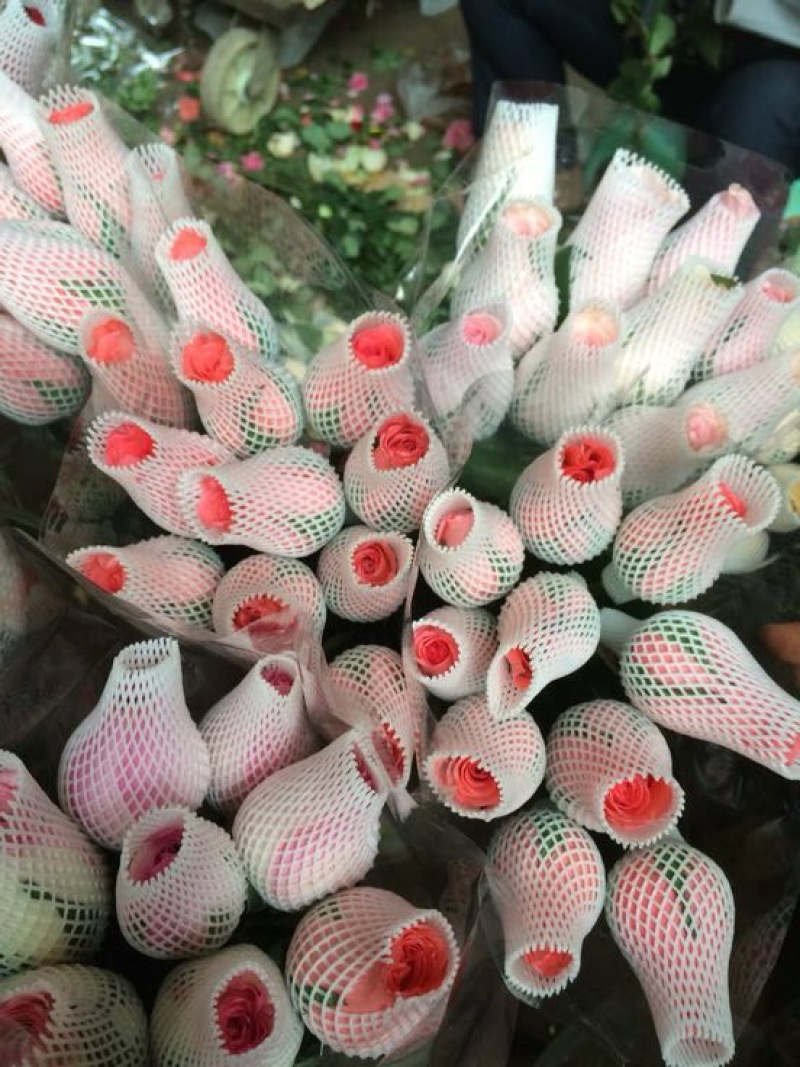 云南昆明斗南鲜花基地直供红玫瑰10朵红玫瑰鲜花速递