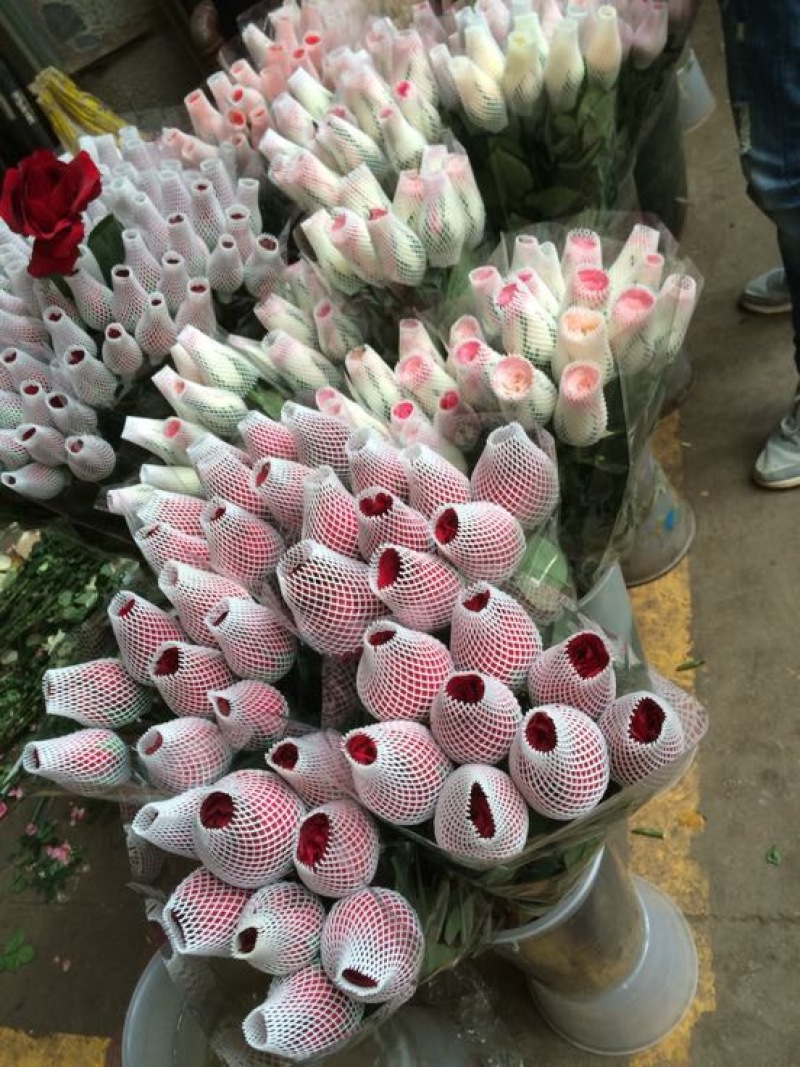 云南昆明斗南鲜花基地直供红玫瑰10朵红玫瑰鲜花速递