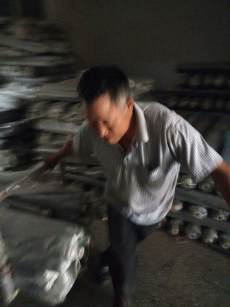 黑色膜黑色地膜黑色除草防草地膜黑色保温地膜农用地
