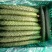 密刺黄瓜25公分以上干花带刺