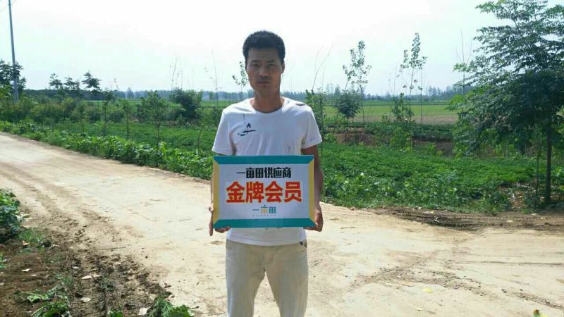 四粒红红米花生鲜货带壳