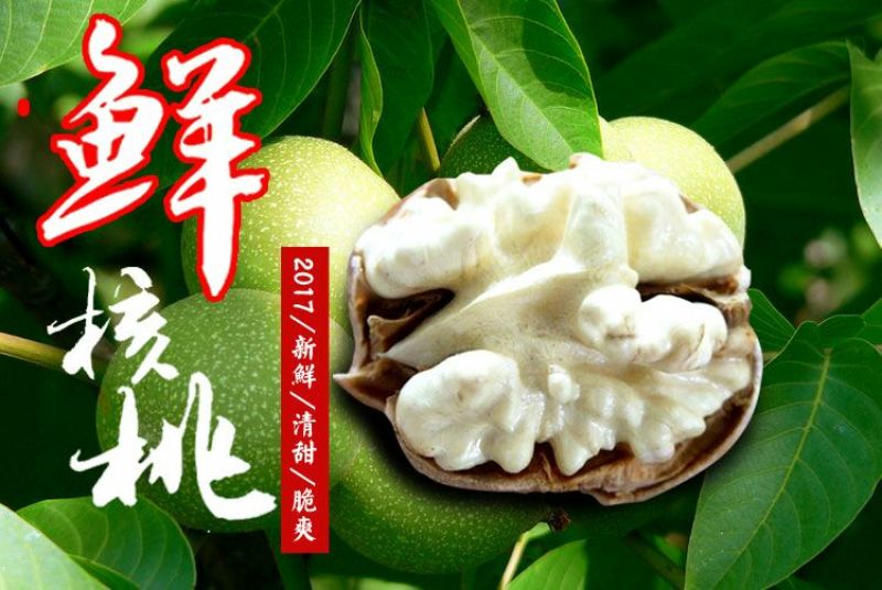 山核桃青皮湿