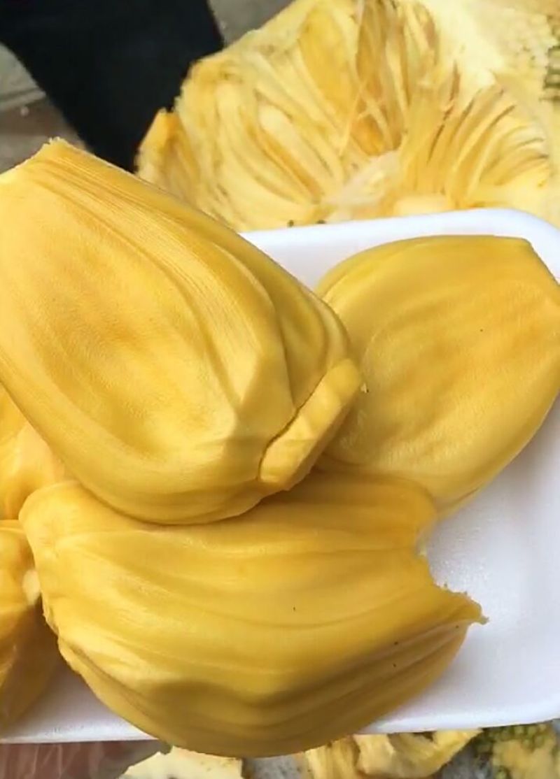 海南黄肉菠萝蜜