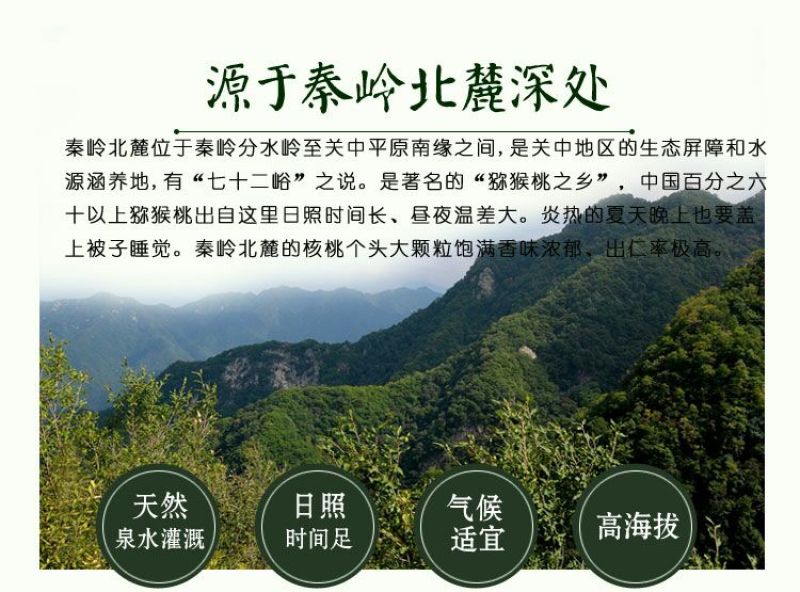 山核桃青皮湿