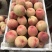 精品红不软桃80mm以上大量上市