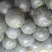 黑皮无籽西瓜8斤打底8成熟1茬