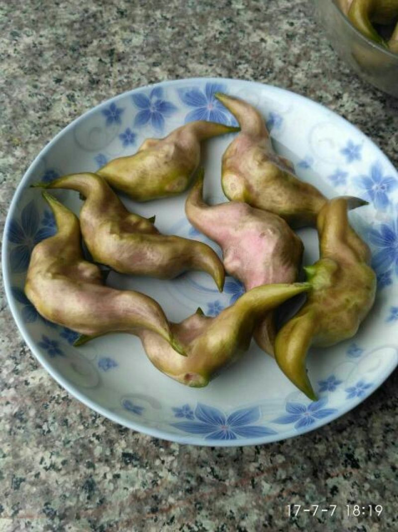 脱皮老菱角家菱产地直销脱皮菱角（菱角种子提前预约）
