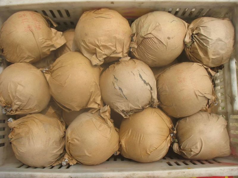 丰水梨300~350g纸袋