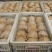 丰水梨300~350g纸袋