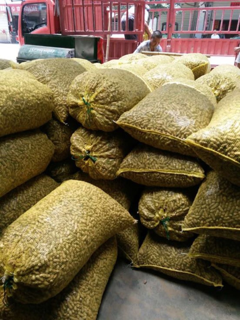 湖北老芦，白沙花生上市中，鲜货，保证质量，，欢迎致电