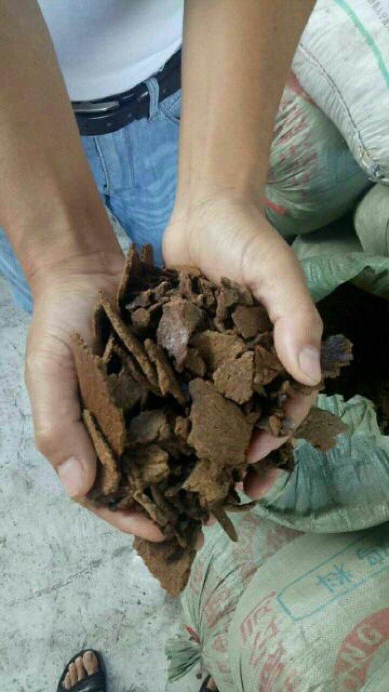 油菜籽菜籽饼品种多，质量好