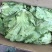 意大利生菜6两~7两