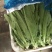 意大利生菜6两~7两